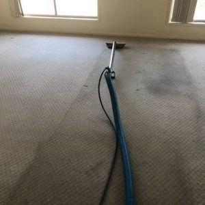 Heavily Stained Carpet